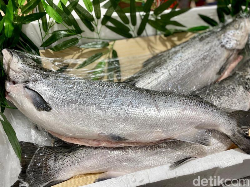 Oishiwa Transmart Central Park pakai salmon Norwegia