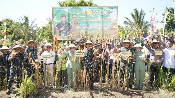 Pangdam Udayana Mayjen TNi Bambang Trisnohadi saat panen raya jagung di Lombok Timur, NTB.