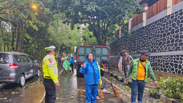Hujan Deras Sebabkan Pohon Runtuh di Berbagai Penjuru Kota Bogor