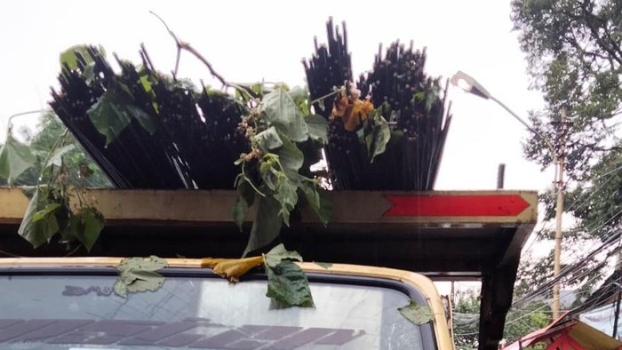 Hujan Disertai Angin Kencang, Pohon Tumbang Timpa Mobil di Ciawi Bogor
