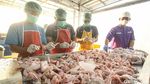 Potret Mendag Zulhas Tinjau Rumah Potong Hewan di Jaktim