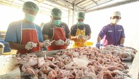 Zulhas pun sempat terkejut dengan harga potong ayam yang disebutnya murah. Ia meminta untuk dapat menaikkan harga potong dari Rp 200 menjadi Rp 500.