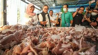 Menteri Perdagangan (Mendag) Zulkifli Hasan (Zulhas) mengunjungi Rumah Potong Hewan Unggas (RPHU) Rawa Kepiting, Jatinegara, Kecamatan Cakung, Jakarta Timur, Sabtu (4/5/2024).