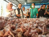 Potret Mendag Zulhas Tinjau Rumah Potong Hewan di Jaktim