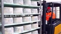 Begini Proses Pembuatan Blue Cheese, Keju Paling Bau di Dunia