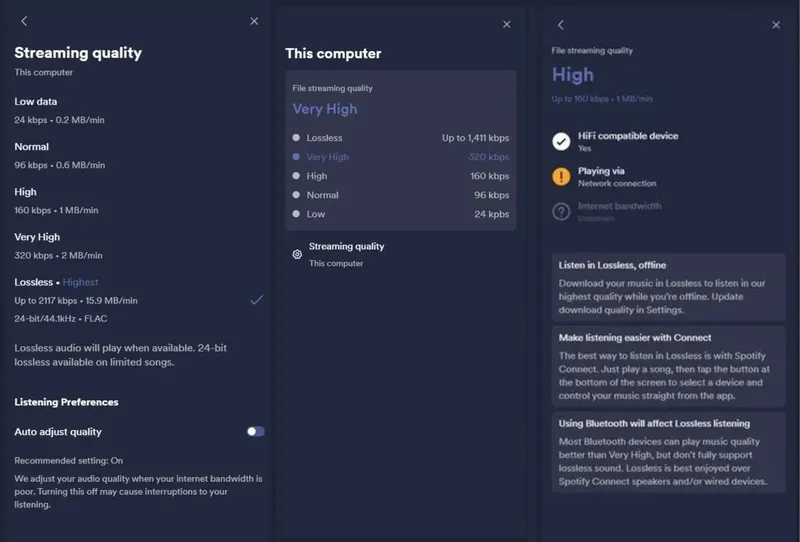 Tampilan antarmuka audio lossless Spotify