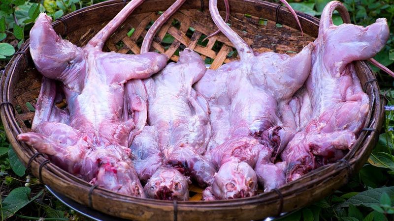 Daging Tikus hingga Katak, Santapan Ekstrem untuk Bertahan Hidup