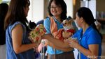 Gemas! Anjing-anjing Lucu Ini Pakai Busana dan Ikut Pesta Ultah