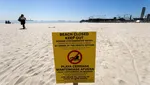 Potret Teror Tinja yang Menjijikkan di Pantai Inggris