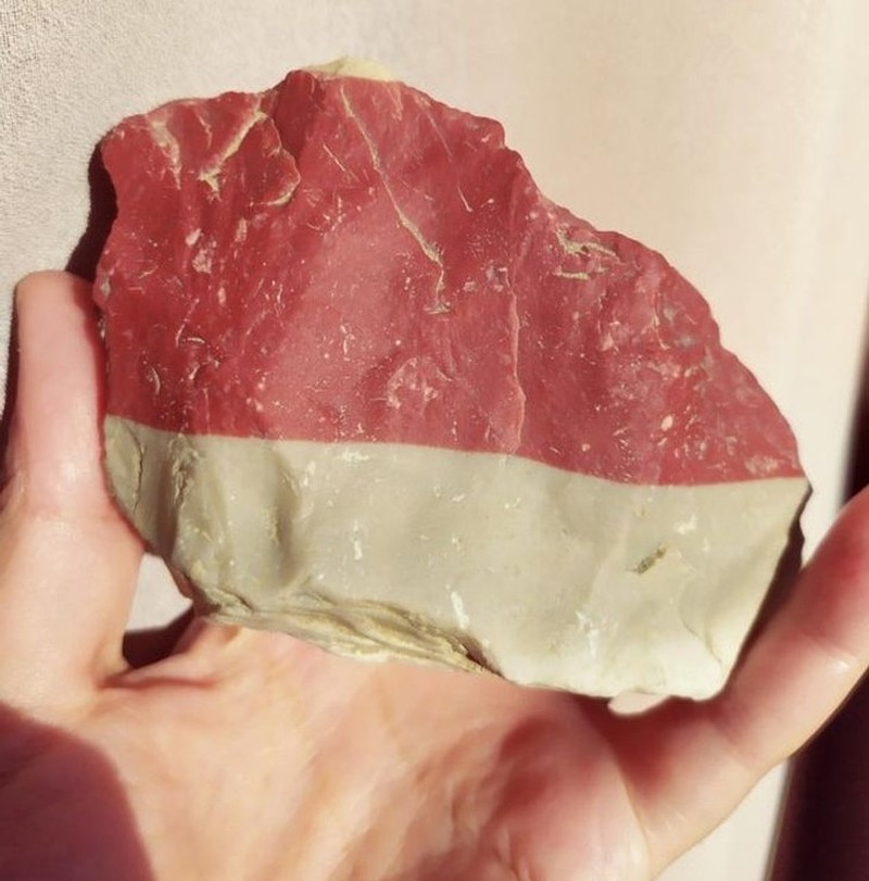 Kumpulan Potret Kambing Hingga Sapi Punya Corak Tubuh yang Langka