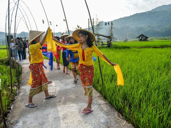 Melihat Keseruan Festival Sawah di Kabupaten Sumedang