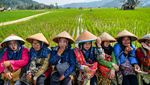 Melihat Keseruan Festival Sawah di Kabupaten Sumedang