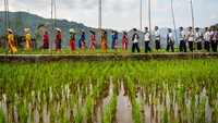 Penari berjalan di pematang sawah saat mengikuti Festival Sawah di Desa Baginda, Kecamatan Sumedang Selatan, Kabupaten Sumedang, Jawa Barat, Minggu (5/5/2024).