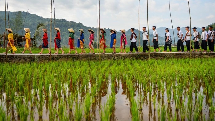 Penari menarikan tarian kebudayaan sunda saat mengikuti Festival Sawah di Desa Baginda, Kecamatan Sumedang Selatan, Kabupaten Sumedang, Jawa Barat, Minggu (5/5/2024). Festival Sawah yang diadakan oleh Karang Taruna Desa Baginda tersebut digelar dalam rangka Hari Jadi Kabupaten Sumedang ke 446 serta ditujukan untuk melestarikan kearifan lokal dan kebudayaan seni sunda. ANTARA FOTO/Raisan Al Farisi/foc.