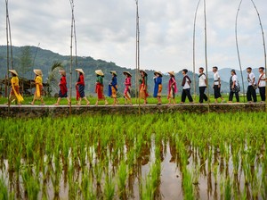 Hari Desa Nasional 2026 Angkat Peran Desa dalam Pembangunan Nasional