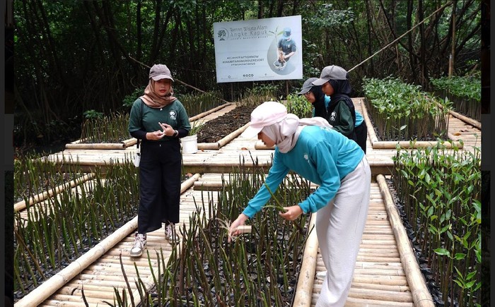 Pariwisata berkelanjutan