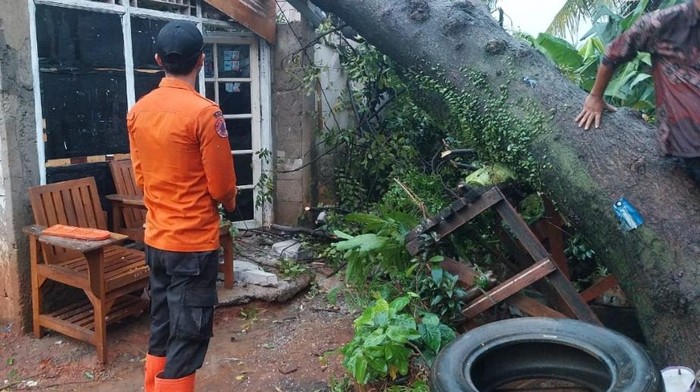 Pohon Tumbang Timpa Rumah di Ciriung Bogor, 1 Warga Terluka