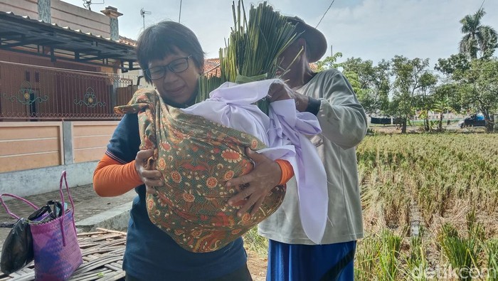 Tradisi panen di sawah keramat Buyut Lumbung Dalem Desa Plumbon, Indramayu. Tradisi panen di sawah keramat Buyut Lumbung Dalem Desa Plumbon, Kecamatan Indramayu, Kabupaten Indramayu.