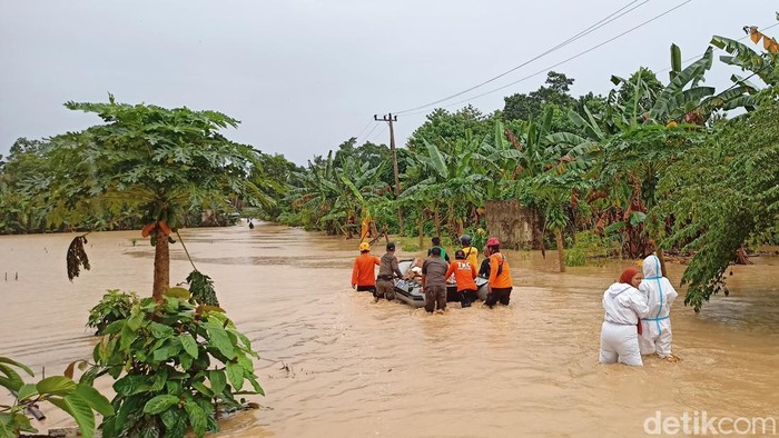 Walhi Ungkap Banjir Bandang-Longsor di Luwu gegara Aktivitas Tambang Emas