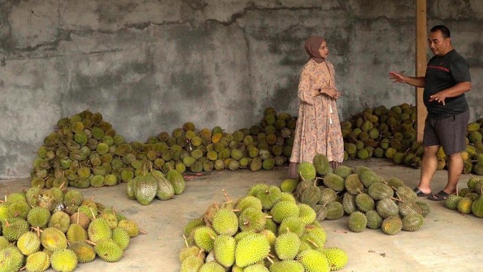 Desa Wisata Duren Sari Trenggalek.