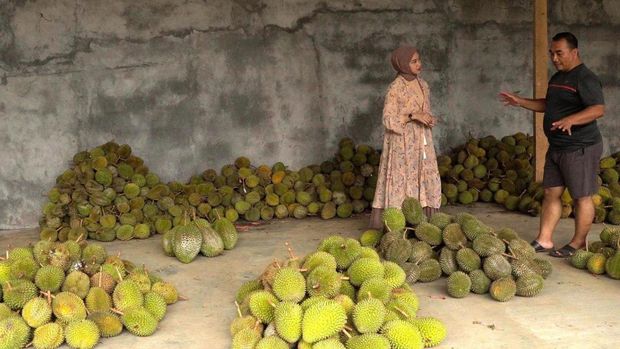 Desa Wisata Duren Sari Trenggalek.