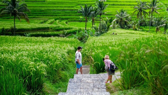 Desa wisata Jatiluwih di Bali