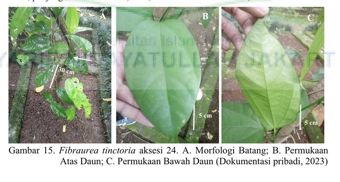 (Dok Fajar Andre Kurnianto/UIN Jakarta)
