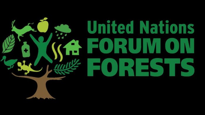 Indonesia kembali terlibat dalam Forum PBB untuk Hutan atau United Nation Forum on Forest (UNFF) (Dok istimewa)