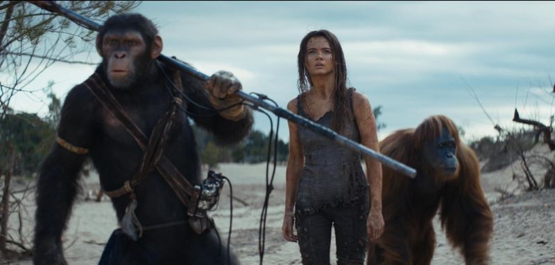 film Kingdom of the Planet of the Apes