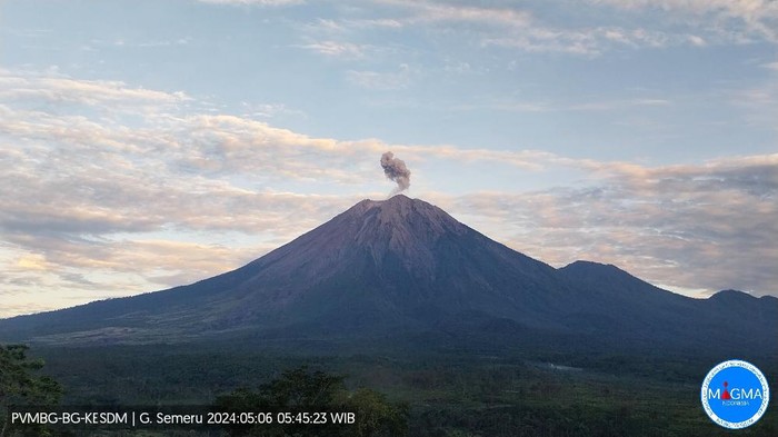 Erupsi Dini Hari Gemparkan Warga Sekitar Gunung Semeru