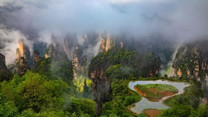 Indahnya Taman Hutan Nasional Zhangjiajie China Taman Hutan Nasional Zhangjiajie diselimuti kabut. Taman tersebut tampak bak penampakan sebuah negeri di atas awan.