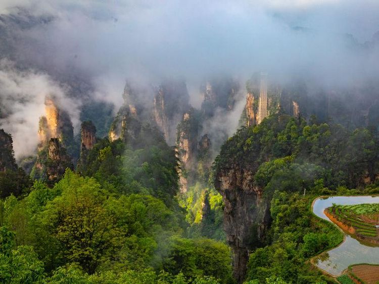 Cantiknya Taman Hutan Nasional Zhangjiajie China