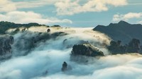 Penampakan di taman hutan tersebut seperti negeri di atas awan.