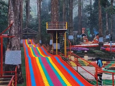 Lawu Green Forest Magetan.