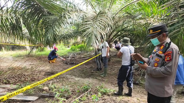 Lokasi penemuan kerangka manusia di kebun sawit Muba dipasang police line.