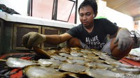 Perajin sedang menata ikan yang akan di masukkan kedalam tungku pemanggang.