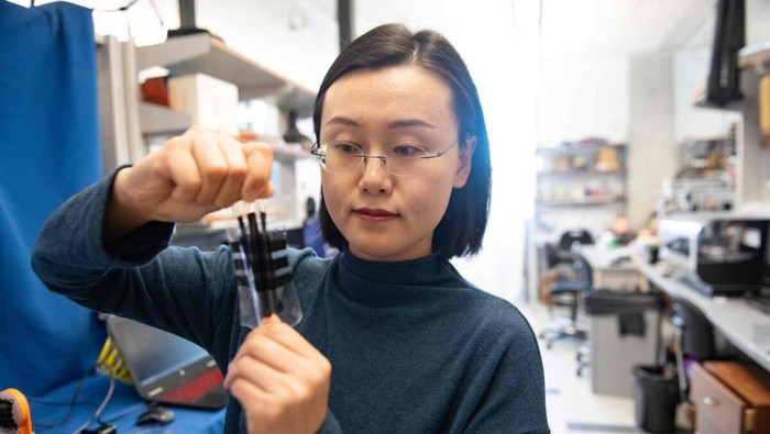 Nanshu Lu memengang kulit buatan untuk robot.