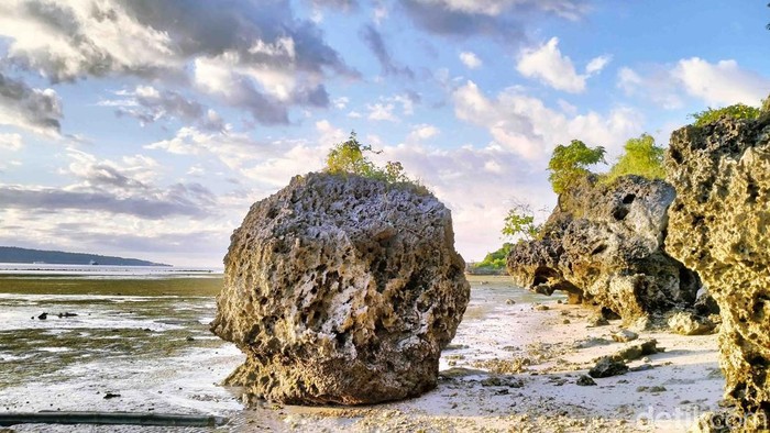 Pantai Air Dao, Kupang, NTT, pada sore hari ketika air laut sedang surut, Kamis (02/05/2024). (Anastasya Evlynda Berek/detikBali)