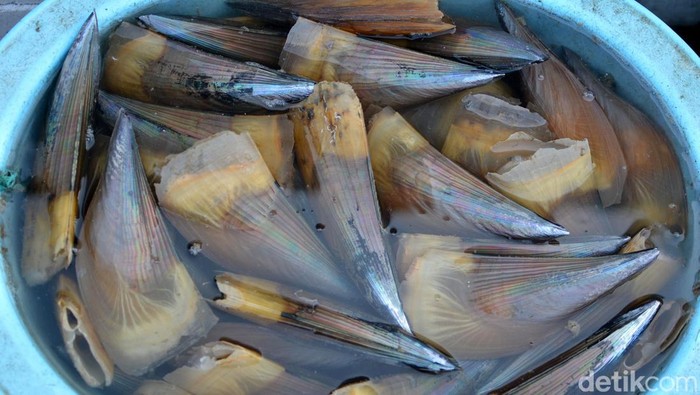 Pengolahan kerang nelayan pesisir Kenjeran