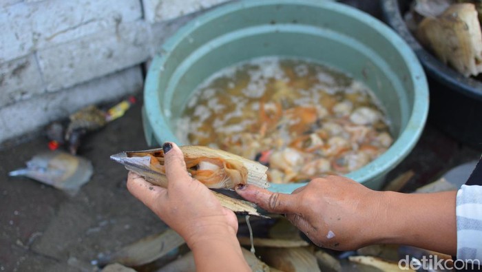Pengolahan kerang nelayan pesisir Kenjeran