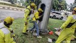 Perawatan dan Perbaikan Lampu Jalan di Ibu Kota