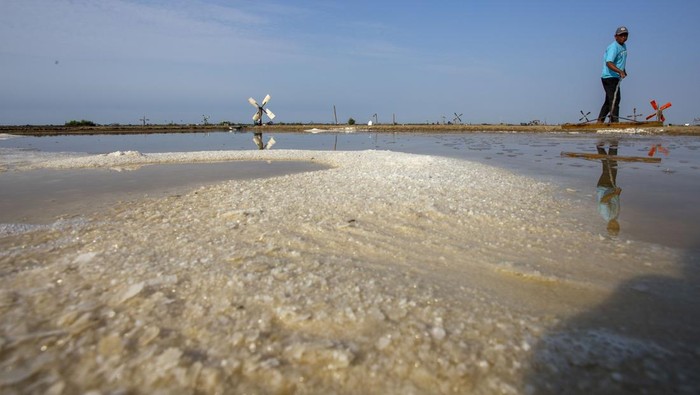 Petambak memanen garam di areal tambak desa Santing, Losarang, Indramayu, Jawa Barat, Senin (6/5/2024). Memasuki musim kemarau, petambak setempat mulai menggarap lahan garam meski harga garam di tingkat petambak masih rendah yakni kisaran Rp1.100 per kilogram. ANTARA FOTO/Dedhez Anggara/aww.