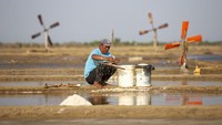 Meski begitu, harga garam di tingkat petambak masih rendah yakni kisaran Rp1.100 per kilogram.