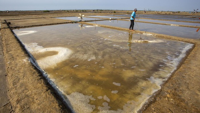 Petambak memanen garam di areal tambak desa Santing, Losarang, Indramayu, Jawa Barat, Senin (6/5/2024). Memasuki musim kemarau, petambak setempat mulai menggarap lahan garam meski harga garam di tingkat petambak masih rendah yakni kisaran Rp1.100 per kilogram. ANTARA FOTO/Dedhez Anggara/aww.