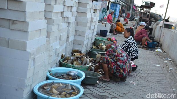Proses pengolahan kerang oleh ibu-ibu di kawasan pesisir Kenjeran.