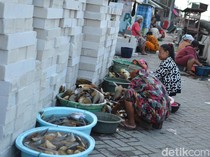 Menilik Geliat Perekonomian Warga Pesisir Pantai Surabaya