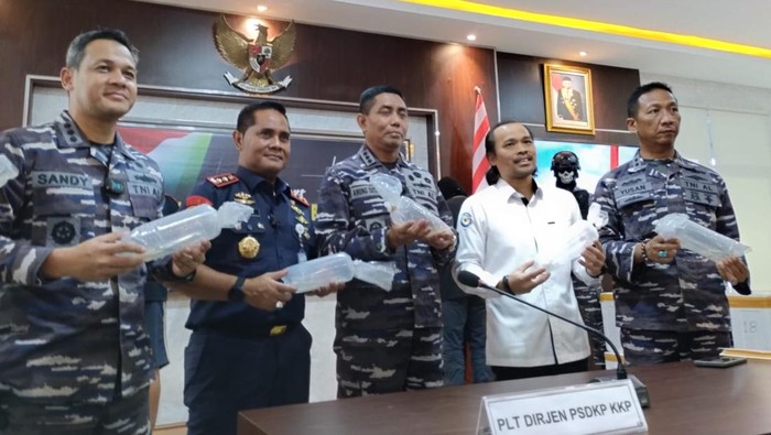 TNI AL Serahkan Lebih Dari 99 Ribu Benur Lobster Hasil Penyelundupan di Palembang ke KKP