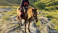 Bahagia sekali dapat bersahabat dengan kuda sumba, yang baik dan sangat menurut dengan pemiliknya