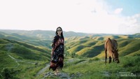 Saran yang tidak boleh terlewatkan Berpose dengan Kuda Sumba dan latar Bukit Warinding nan Indah