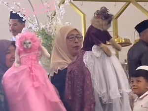 Pernikahan Viral, Kucing Cosplay Jadi Bridesmaid Saat Kirab Pengantin
